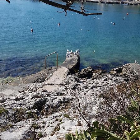 Villa Maja Trogir Buitenkant foto